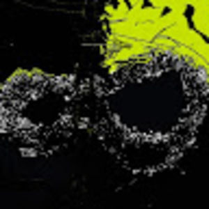 Meet your Posher, Candice